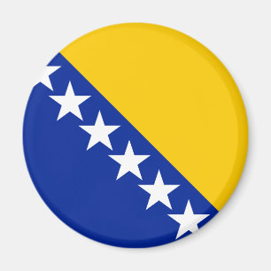 Vlag BA van Bosnië en Herzegovina Magneet