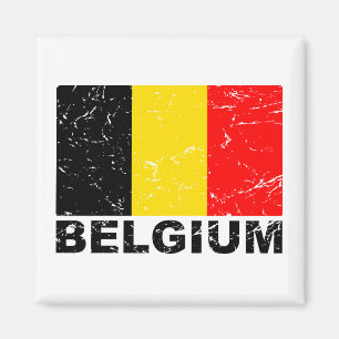  vlag België Magneet