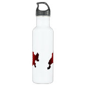 Vlag en kaart Zwitserland Waterfles (Achterkant)