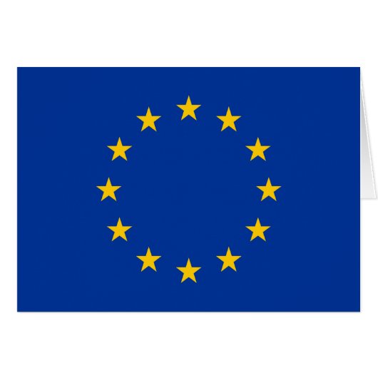 Vlag Europese Unie (Voorkant Horizontaal)