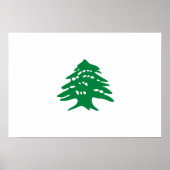 Vlag groene Libanese cedar Poster (Voorkant)
