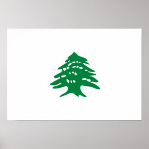 Vlag groene Libanese cedar Poster