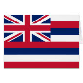 Vlag Hawaii (Voorkant Horizontaal)