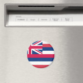 Vlag Hawaii Magneet (Insitu (Vaatwasser))