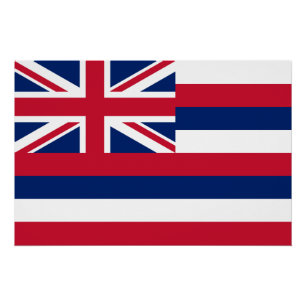Vlag Hawaii Perfect Poster