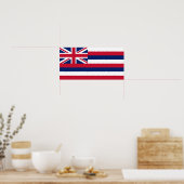 Vlag Hawaii Poster (Keuken)
