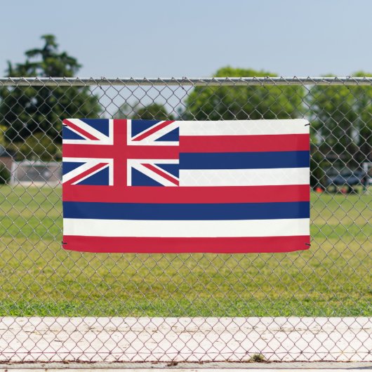 Vlag Hawaii Spandoek (Insitu)