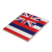 Vlag Hawaii Tegeltje (Zijkant)