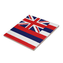 Vlag Hawaii Tegeltje