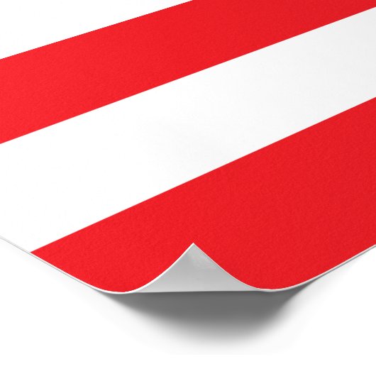 Vlag in Fremont Poster (Hoek)