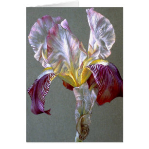 Vlag Iris botanische bloemenblanco