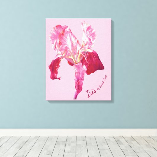 Vlag Iris rood en roze gekleurd boxed canvas (Insitu (Houten vloer))