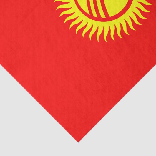 Vlag Kirgizië Tissuepapier (Detail)