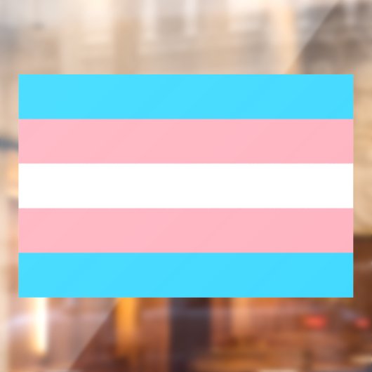 Vlag LGBTQIA+ Raamsticker (Vel 2)