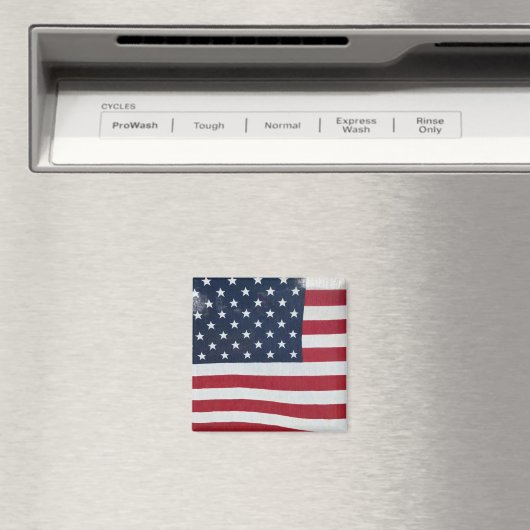 Vlag Magnet (Insitu (Vaatwasser))