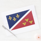 Vlag (officieus) van Metairie, Louisiana Rechthoekige Sticker (Envelop)