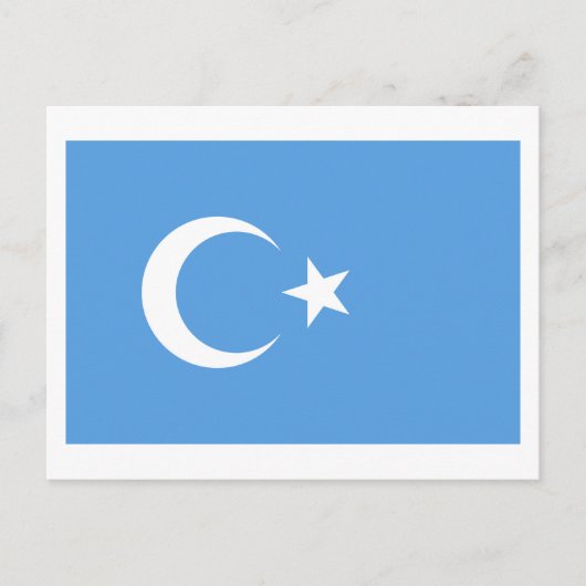 Vlag Oost-Turkestan Oeigoer Briefkaart (Voorkant)