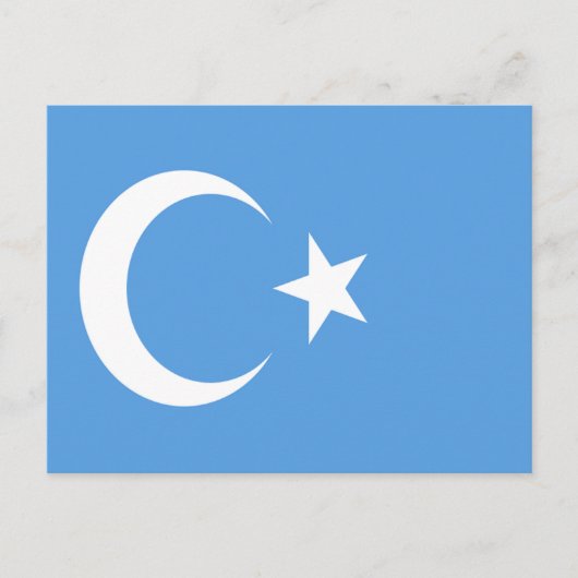 Vlag Oost-Turkestan Oeigoer Briefkaart (Voorkant)