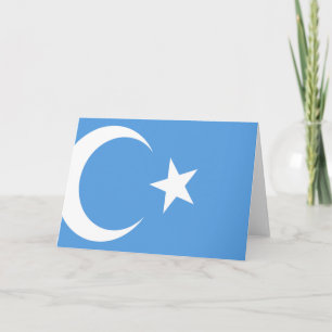 Vlag Oost-Turkestan Oeigoer Kaart
