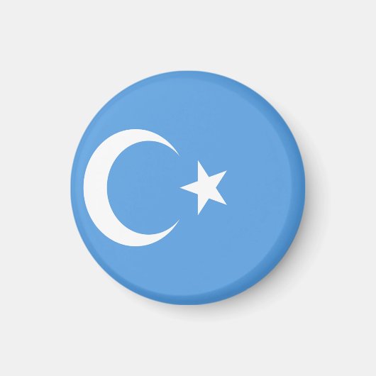 Vlag Oost-Turkestan Oeigoer Magneet (Voorkant)