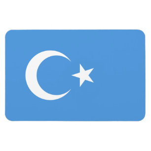 Vlag Oost-Turkestan Oeigoer Magneet