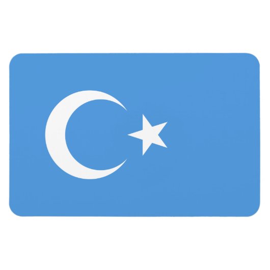 Vlag Oost-Turkestan Oeigoer Magneet (Horizontaal)