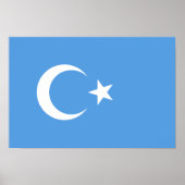 Vlag Oost-Turkestan Oeigoer Poster (Voorkant)