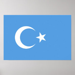 Vlag Oost-Turkestan Oeigoer Poster