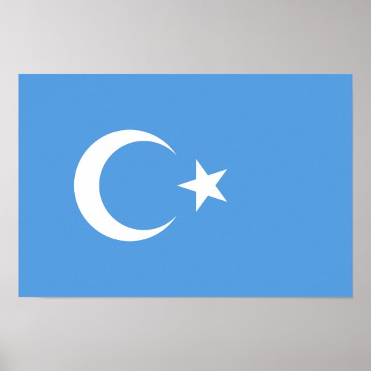 Vlag Oost-Turkestan Oeigoer Poster (Voorkant)