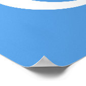 Vlag Oost-Turkestan Oeigoer Poster (Hoek)