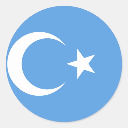 Vlag Oost-Turkestan Oeigoer Ronde Sticker (Voorkant)