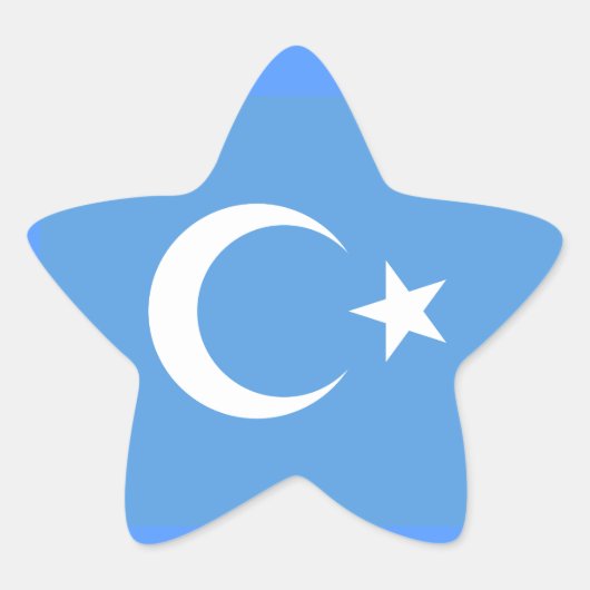 Vlag Oost-Turkestan Oeigoer Ster Sticker (Voorkant)