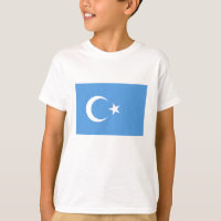 Vlag Oost-Turkestan Oeigoer
