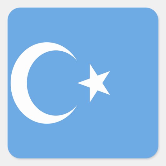 Vlag Oost-Turkestan Oeigoer Vierkante Sticker (Voorkant)
