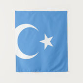 Vlag Oost-Turkestan Oeigoer Wandkleed (Voorkant)