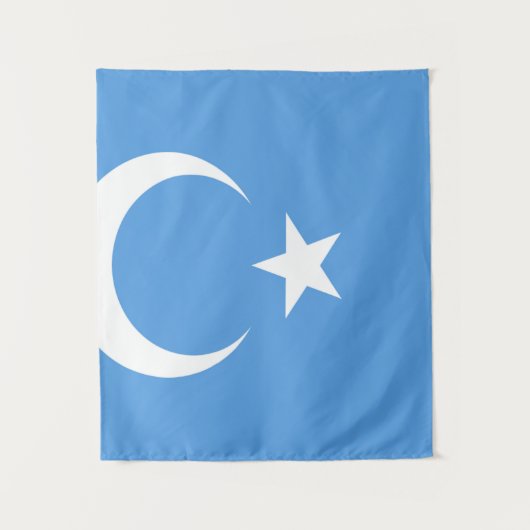 Vlag Oost-Turkestan Oeigoer Wandkleed (Voorkant)
