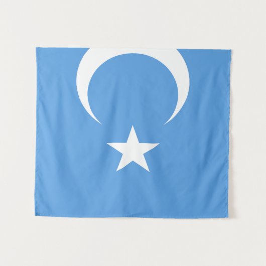 Vlag Oost-Turkestan Oeigoer Wandkleed (Voorkant (horizontaal))
