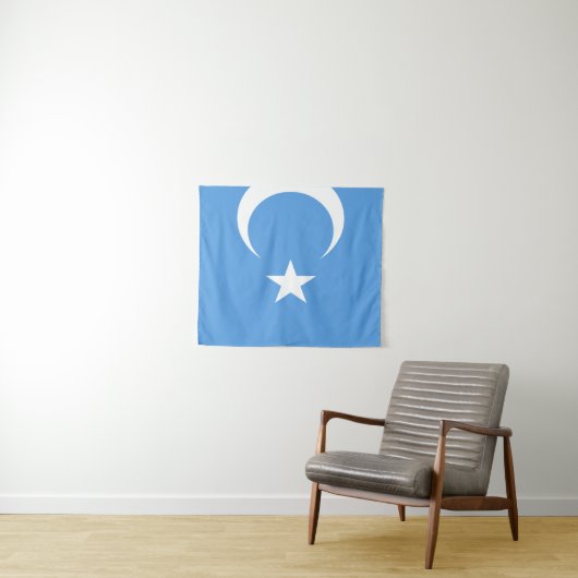 Vlag Oost-Turkestan Oeigoer Wandkleed (In Situ (horizontaal))