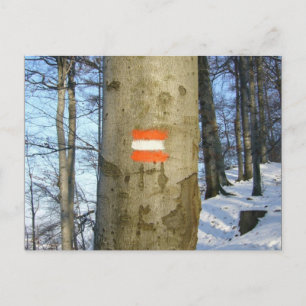 Vlag Oostenrijk Winter Briefkaart