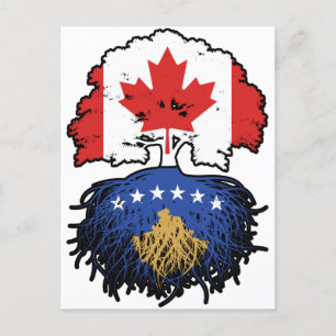 Vlag over Kosovo Kosovar Canada Tree Roots Briefkaart