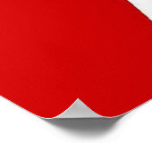 vlag Palestine Keffiyah Poster (Hoek)