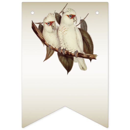 Vlag rond witte vogels die als bunting fungeren vlaggetjes (Tweede vlag)