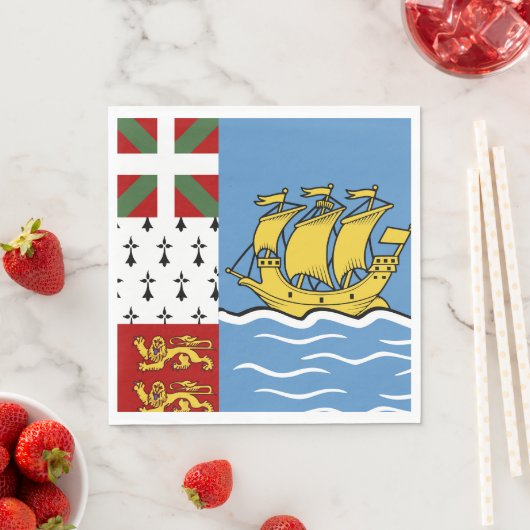 Vlag Saint-Pierre en Miquelon Servet (Insitu)