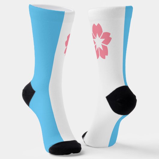 vlag Salem (Oregon) Sokken (Gebogen)