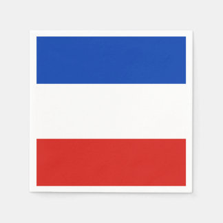 Vlag Schleswig-Holstein Paper Napkins Servet