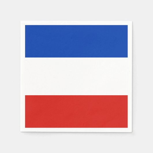 Vlag Schleswig-Holstein Paper Napkins Servet (Voorkant)