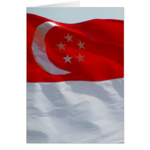 vlag singapore