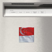 vlag singapore magneet (Insitu (Vaatwasser))