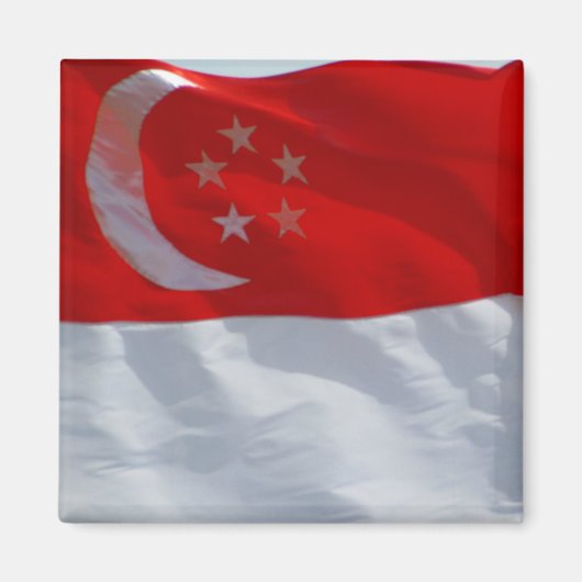 vlag singapore magneet (Voorkant)