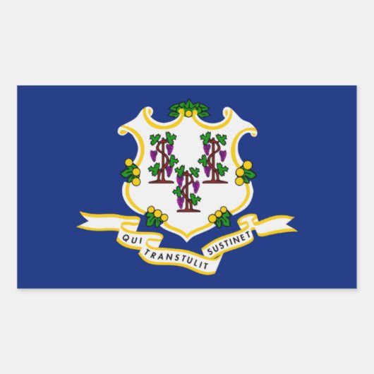 Vlag Sticker verbindingsstaat (Voorkant)